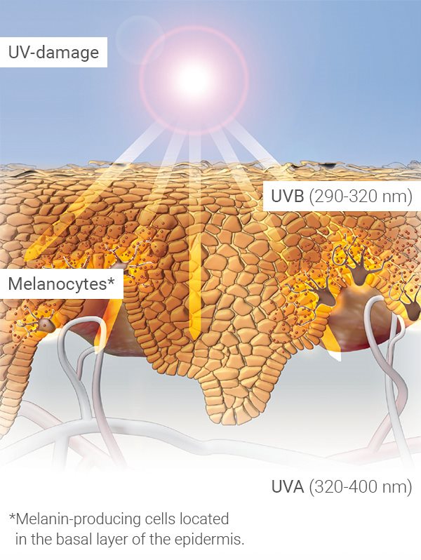 Eucerin About skin Sun and skin learn about how sunlight can