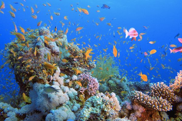 Biodegradable sunscreen from Eucerin